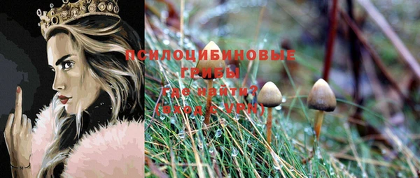 COCAINE Краснослободск